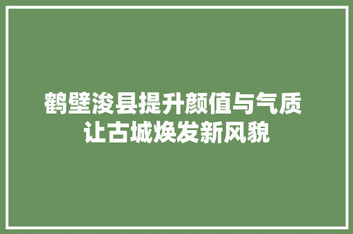 鹤壁浚县提升颜值与气质 让古城焕发新风貌