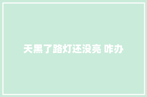 天黑了路灯还没亮 咋办