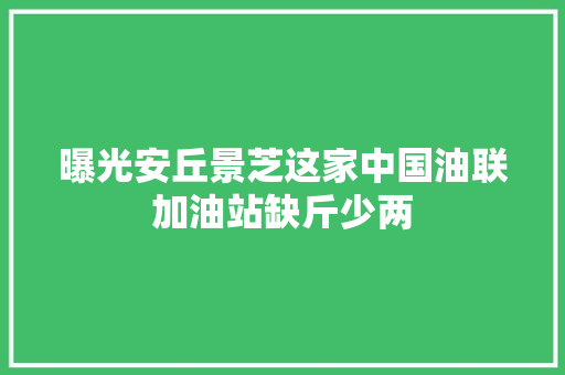 曝光安丘景芝这家中国油联加油站缺斤少两