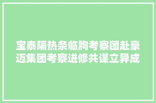 宝泰隔热条临朐考察团赴豪迈集团考察进修共谋立异成长新篇章