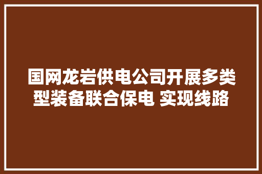 国网龙岩供电公司开展多类型装备联合保电 实现线路改造零停电