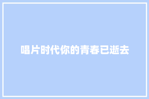 唱片时代你的青春已逝去