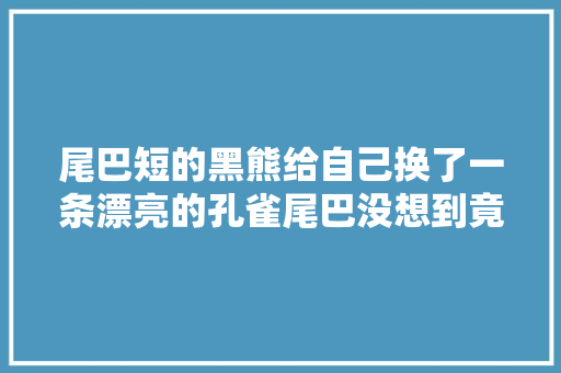 尾巴短的黑熊给自己换了一条漂亮的孔雀尾巴没想到竟引祸上身