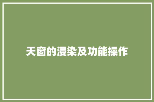 天窗的浸染及功能操作