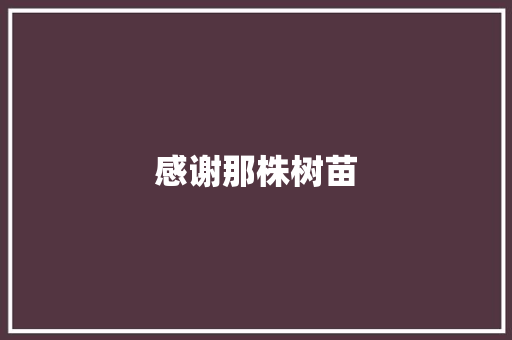 感谢那株树苗