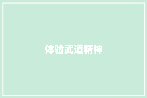 体验武道精神