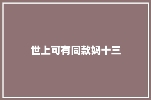 世上可有同款妈十三