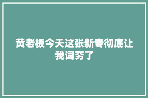 黄老板今天这张新专彻底让我词穷了