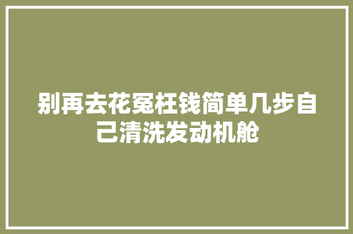 别再去花冤枉钱简单几步自己清洗发动机舱