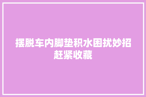 摆脱车内脚垫积水困扰妙招赶紧收藏