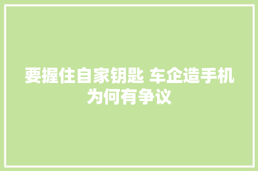 要握住自家钥匙 车企造手机为何有争议