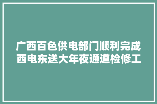 广西百色供电部门顺利完成西电东送大年夜通道检修工作