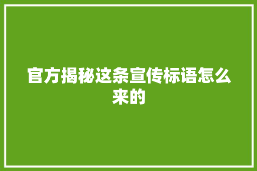 官方揭秘这条宣传标语怎么来的