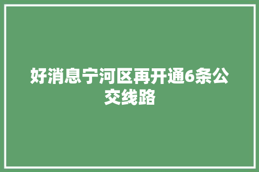 好消息宁河区再开通6条公交线路