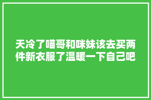 天冷了喵哥和咪妹该去买两件新衣服了温暖一下自己吧～