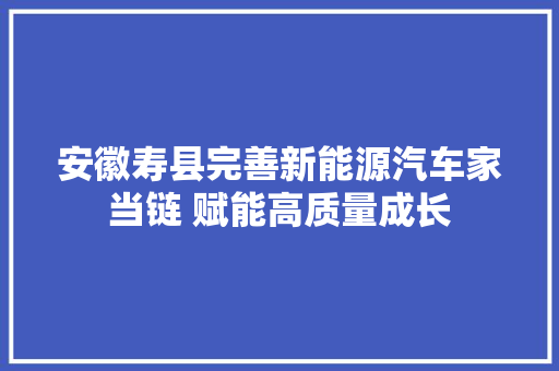 安徽寿县完善新能源汽车家当链 赋能高质量成长
