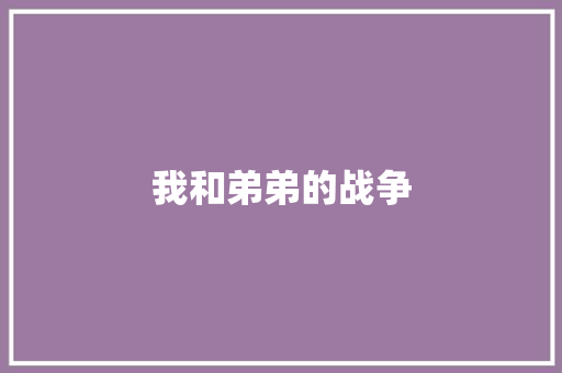 我和弟弟的战争