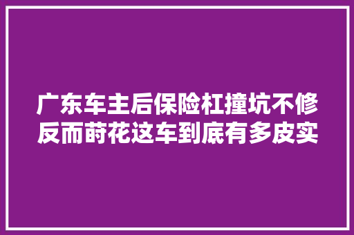 广东车主后保险杠撞坑不修反而莳花这车到底有多皮实