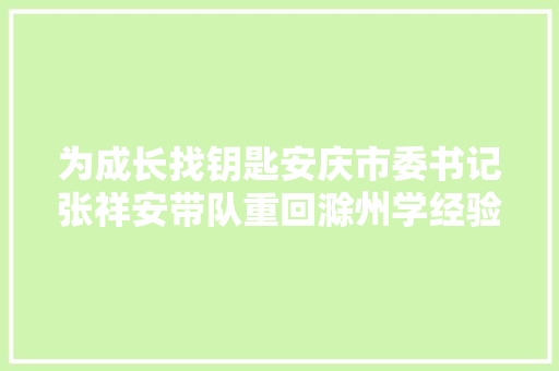 为成长找钥匙安庆市委书记张祥安带队重回滁州学经验
