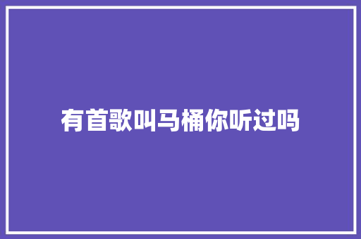 有首歌叫马桶你听过吗