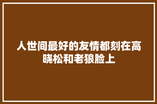 人世间最好的友情都刻在高晓松和老狼脸上