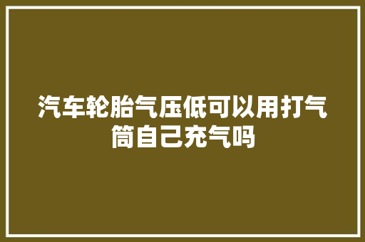 汽车轮胎气压低可以用打气筒自己充气吗