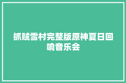 抓贼雪村完整版原神夏日回响音乐会