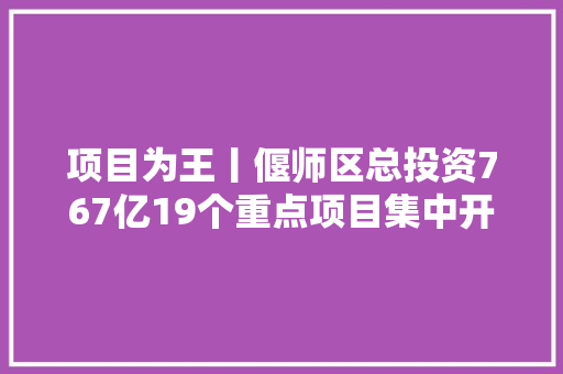 项目为王丨偃师区总投资767亿19个重点项目集中开工