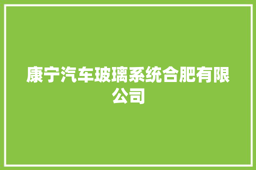 康宁汽车玻璃系统合肥有限公司