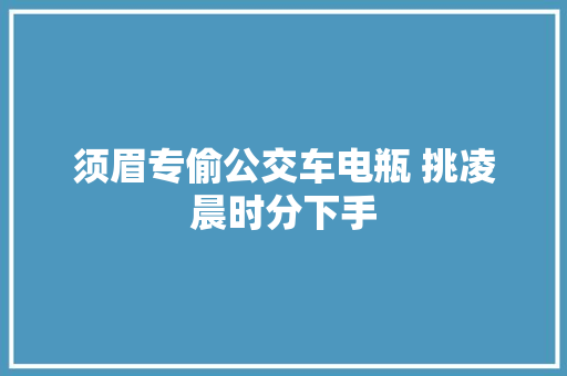 须眉专偷公交车电瓶 挑凌晨时分下手