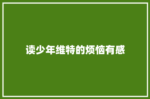 读少年维特的烦恼有感