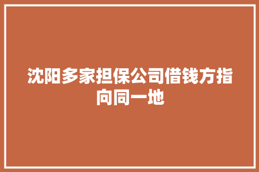 沈阳多家担保公司借钱方指向同一地