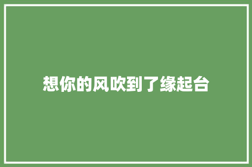 想你的风吹到了缘起台