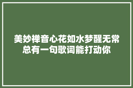 美妙禅音心花如水梦醒无常总有一句歌词能打动你