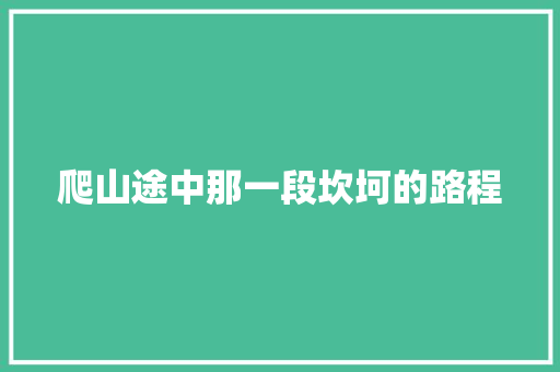 爬山途中那一段坎坷的路程