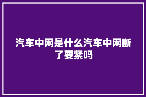 汽车中网是什么汽车中网断了要紧吗