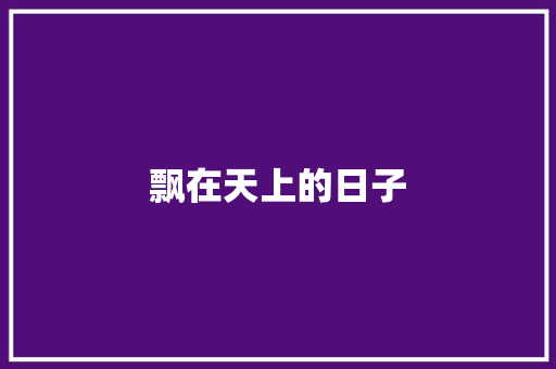 飘在天上的日子