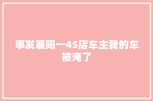 事发襄阳一4S店车主我的车被淹了