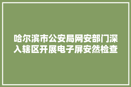 哈尔滨市公安局网安部门深入辖区开展电子屏安然检查工作