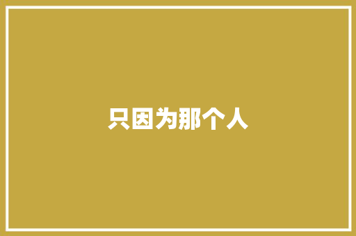 只因为那个人