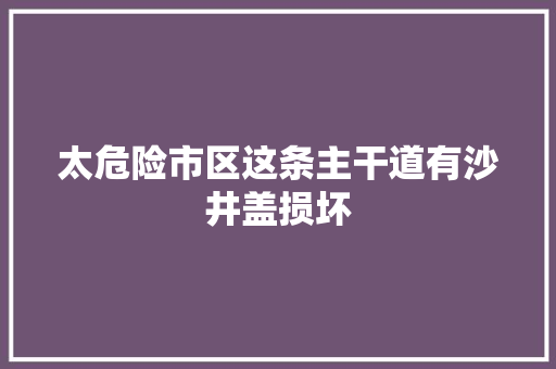 太危险市区这条主干道有沙井盖损坏
