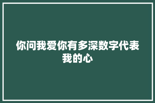 你问我爱你有多深数字代表我的心