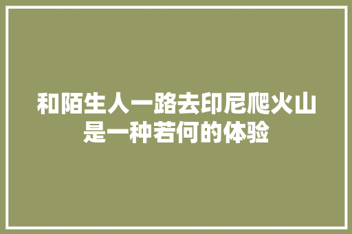 和陌生人一路去印尼爬火山是一种若何的体验