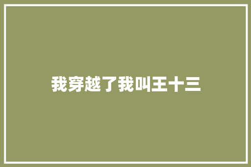 我穿越了我叫王十三