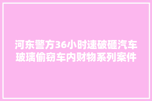 河东警方36小时速破砸汽车玻璃偷窃车内财物系列案件