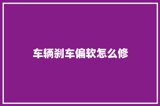 车辆刹车偏软怎么修