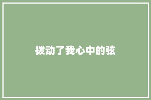 拨动了我心中的弦
