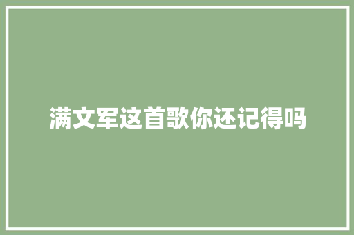 满文军这首歌你还记得吗