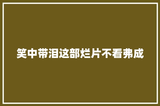 笑中带泪这部烂片不看弗成