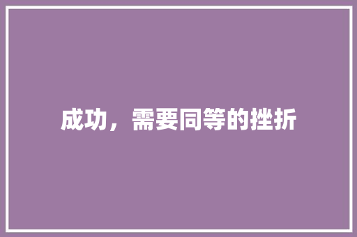 成功，需要同等的挫折